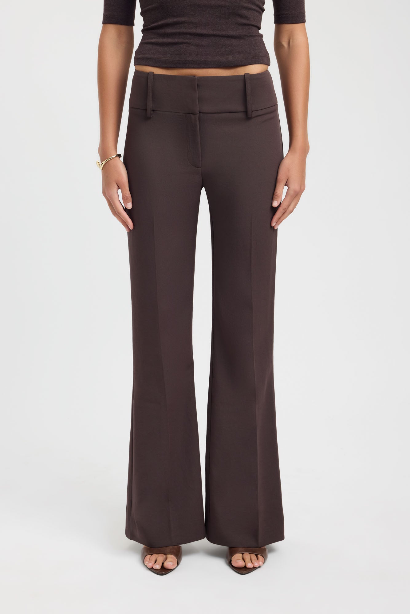womens chocolate brown dress pants Ariel Waistband Pant CP NEW Our Favorite Details SOLERSUN Women Plus Size Size:UK 18 (Buy Now)